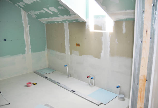 Best Mold-Related Health Consultation  in Salt Creek Commons, IN