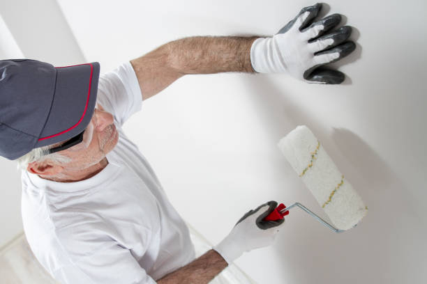 Best Emergency Mold Remediation  in Salt Creek Commons, IN