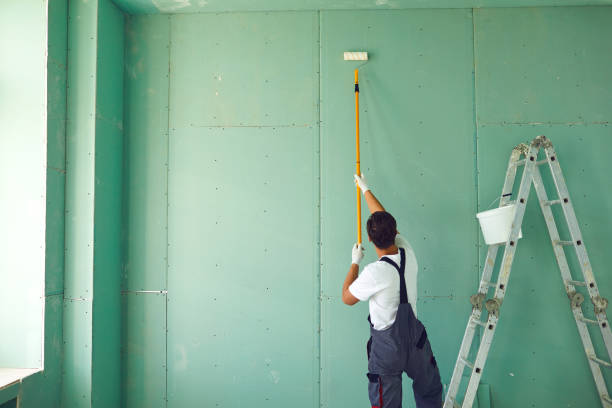 Best Black Mold Removal  in Salt Creek Commons, IN