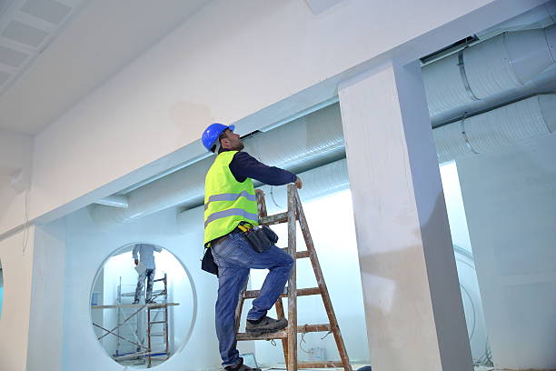 Best Biohazard Mold Removal  in Salt Creek Commons, IN