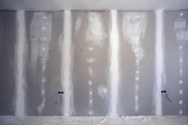 Best Air Quality Testing for Mold Spores  in Salt Creek Commons, IN